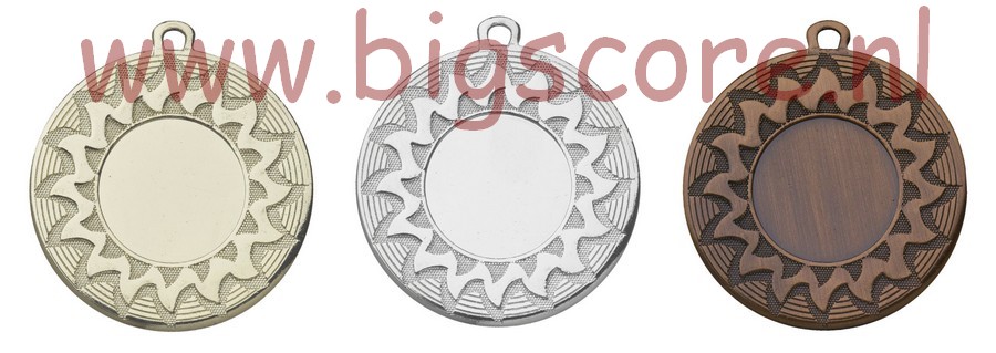 E 4019 Medaille G/Z/B compleet OP=OP!!